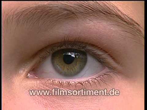 Youtube: Schulfilm: DER MENSCH: SINNESORGAN AUGE (DVD / Vorschau)