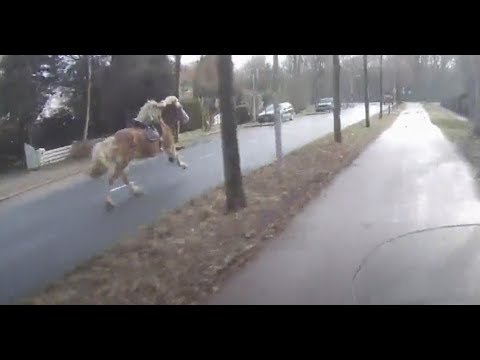 Youtube: Scooterdriver helps woman catch her runaway horse