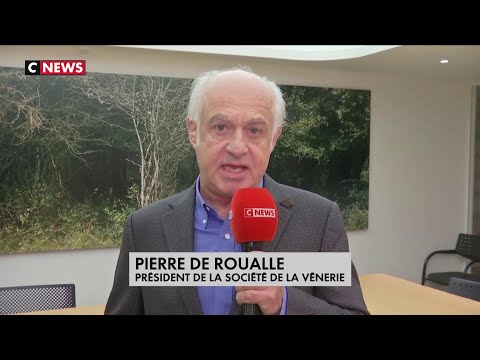 Youtube: Femme tuée par des chiens dans l'Aisne : les hypothèses des enquêteurs