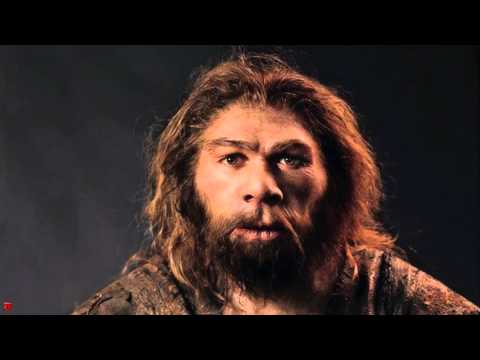 Youtube: EAV - Neandertal