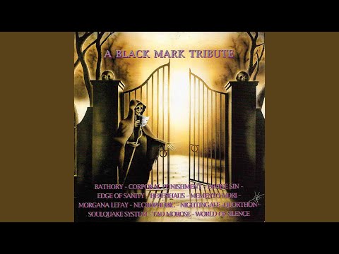 Youtube: Ace of Spades