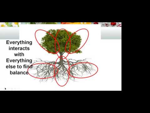 Youtube: 2016 12 11 AM Public Teaching for Gardeners and Growers in English