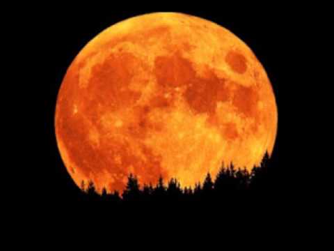 Youtube: Erykah Badu   Orange Moon