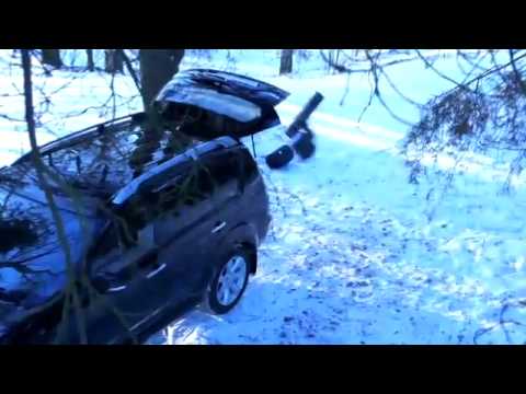 Youtube: Wie ein Bär das Auto klaute