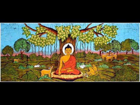 Youtube: ANIMALS AND THE BUDDHA