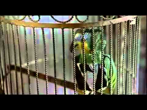 Youtube: Scary Movie 2 - Beste Szene - Polly der Papagei