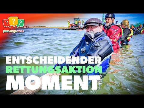 Youtube: Wal Ostsee: Entscheidender Moment! | Rettungsaktion
