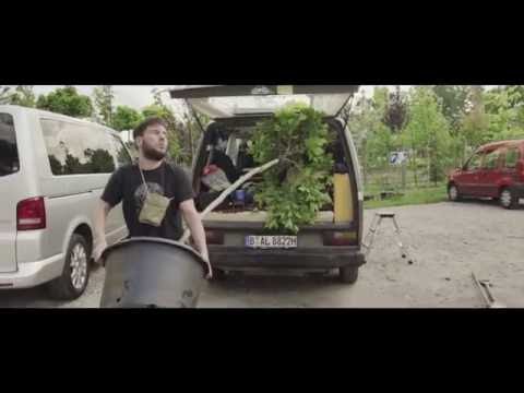 Youtube: MC Bomber pflanzt einen Baum