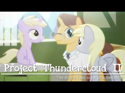 Youtube: Project Thundercloud II: Shadowbox (My Little Pony fan animation)