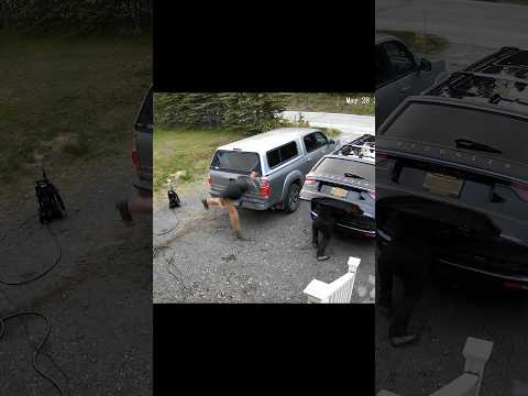 Youtube: Help is on the way?! Life’s a hitch 🤣 #viral #funny #couple #comedy #couplegoals #alaskaelevated