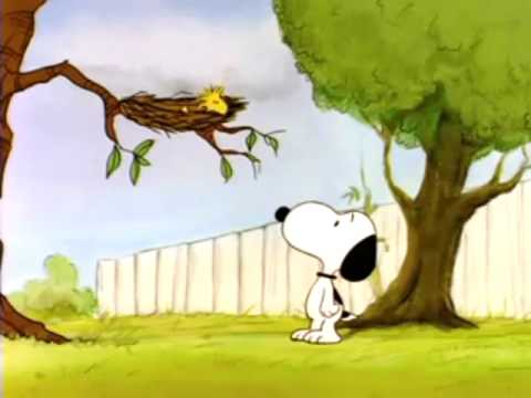 Youtube: Snoopy und Woodstock