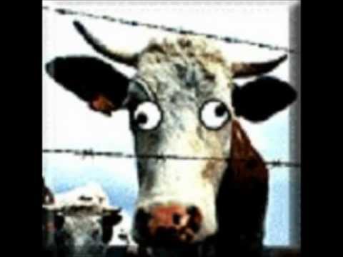 Youtube: How to identify mad cow disease