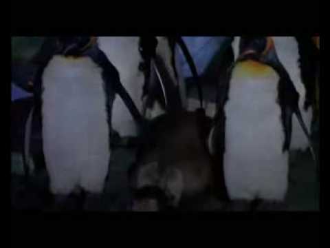 Youtube: batman returns-penguin die