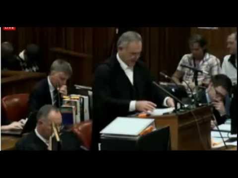 Youtube: Oscar Pistorius Trial. Day 2. Part 2