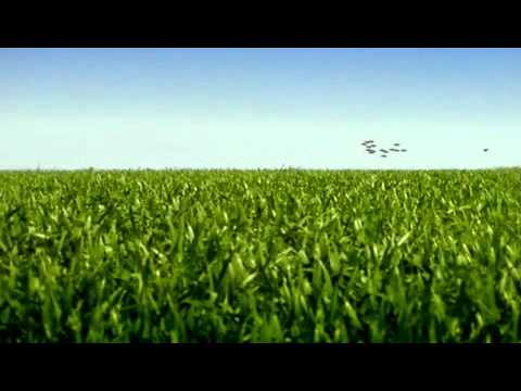 Youtube: ADHS - Animation von Pixar