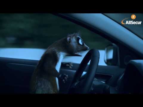 Youtube: Der Geisterfahrer -- Marten vs. AllSecur  (Karate Version)