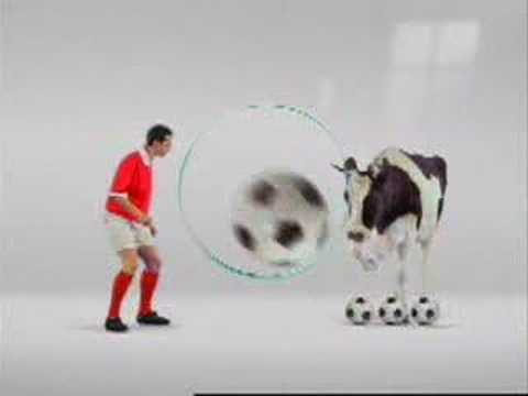 Youtube: football cow