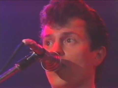 Youtube: Spider Murphy Gang - Schickeria - live - 1982