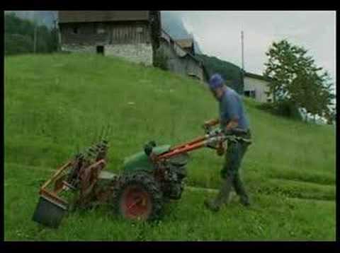 Youtube: Fluch eines schweizer Bauern