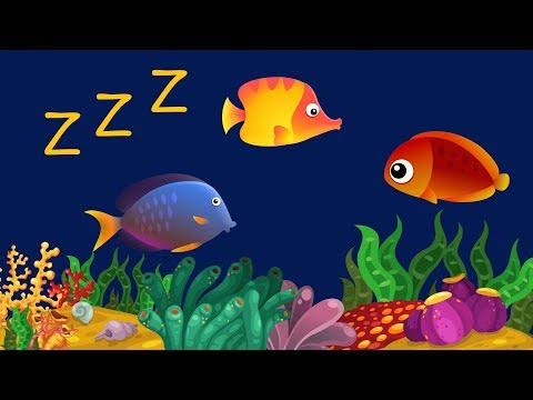 Youtube: Baby Schlaflieder und Entspannende Fische Animation - Kinder Einschlafmusik