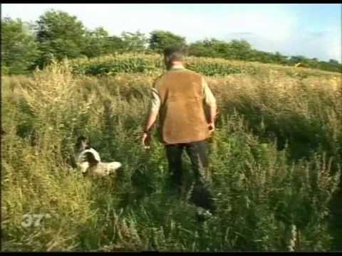 Youtube: Wenn Haustiere verschwinden - Teil3.avi