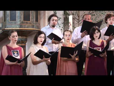 Youtube: Beim Holderstrauch - Jugendbachchor Kronstadt - Dinkelsbühl 2011 - Heimattag