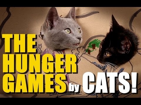 Youtube: CATS remake HUNGER GAMES with Cardboard!