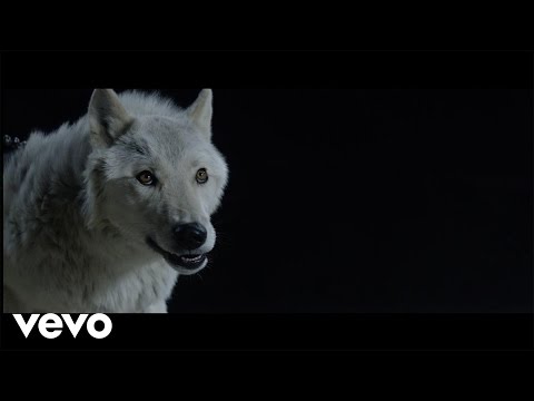Youtube: The Kills - Siberian Nights (Official Video)