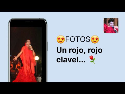 Youtube: Isabel Pantoja Un rojo,rojo clavel