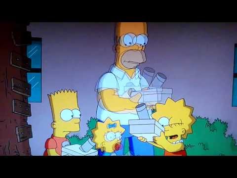 Youtube: The Simpsons Solar Eclipse
