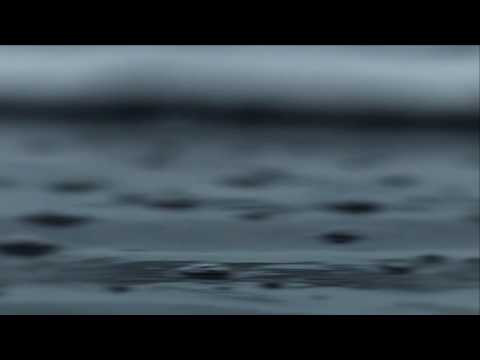 Youtube: Grizzly Bear - Slow Life