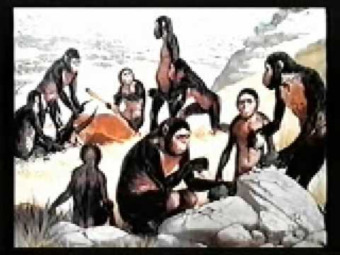 Youtube: Evolutionslüge - Walter Veith