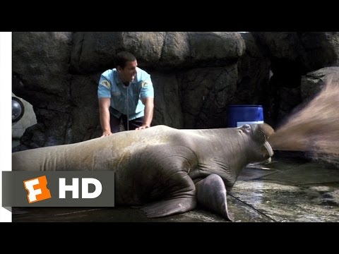 Youtube: Vomiting Walrus - 50 First Dates (3/8) Movie CLIP (2004) HD