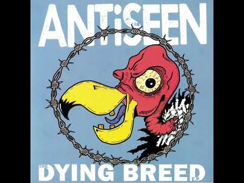 Youtube: Antiseen - The Dying Breed EP