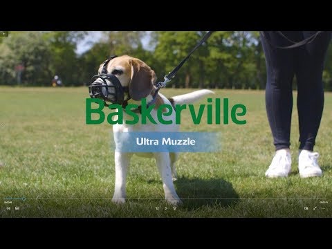 Youtube: New Baskerville Ultra Muzzle How to Use and Fit