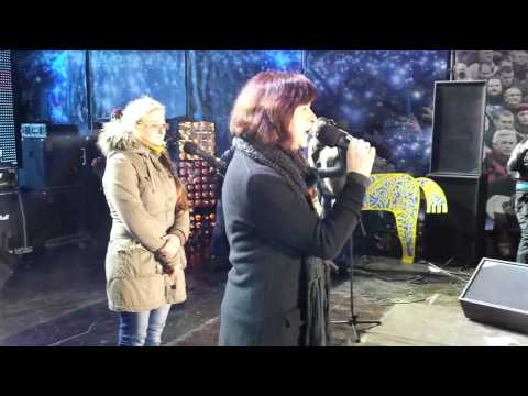 Youtube: Rebecca Harms:  Rede auf dem besetzten Maidan zu Sylvester