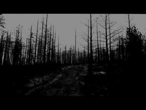 Youtube: Life Neglected - I Am The Blood In Your Veins