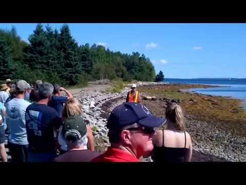 Youtube: Oak Island Tour 2012 Swamp Tour by Charles Barkhouse