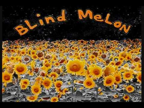 Youtube: Blind Melon - Everyday