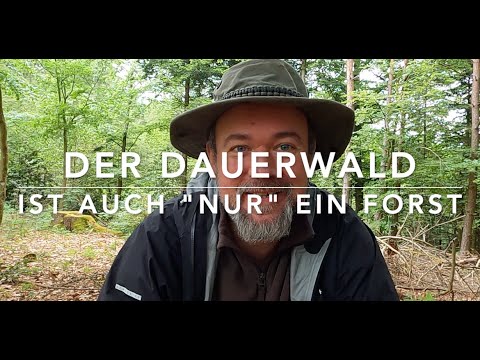 Youtube: Missverständnisse um den Dauerwald