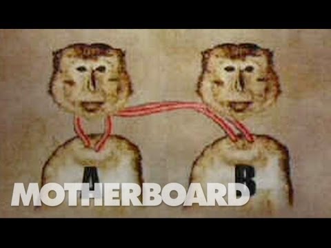 Youtube: A Monkey Head Transplant (Part 1/2)