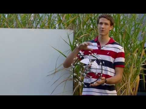 Youtube: An insect-like, crash-happy flying robot