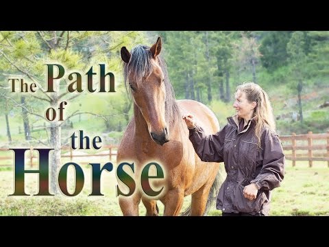 Youtube: The Path of the Horse - Full Length documentary