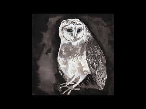 Youtube: Cosmo Sheldrake - Owl Song