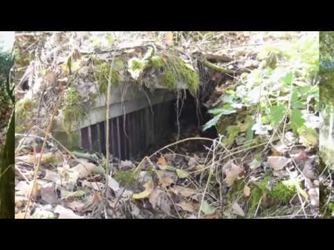 Youtube: Lost Place.  Das Zahnradwerk im Wald/ Das vergessene KZ