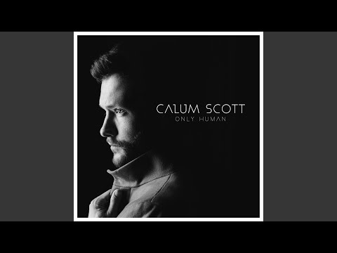 Youtube: Dancing On My Own (Tiësto Remix)