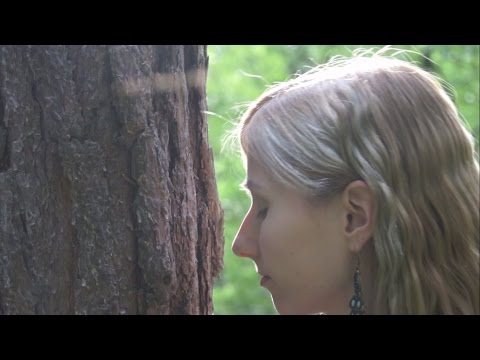 Youtube: Mensch und Baum - Das Geheimnis der Waldbäume (Clemens G. Arvay über Terpene im Wald)