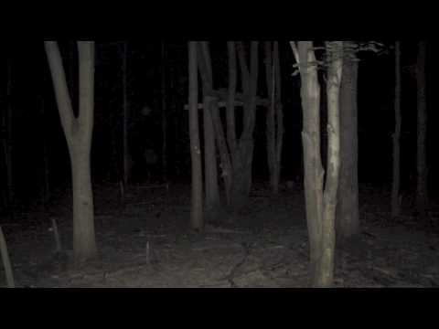 Youtube: Strange creature in picture. Creepy...