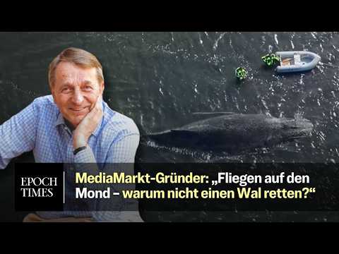 Youtube: „Ohne Kostenlimit“ – MediaMarkt-Gründer will gestrandeten Wal „Timmy“ retten
