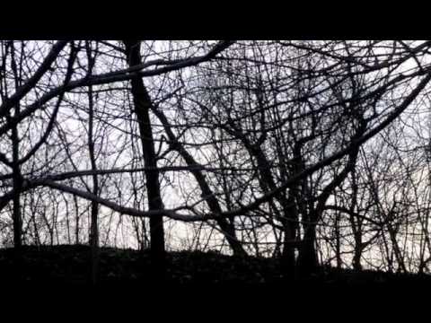 Youtube: Nest / Katatonia